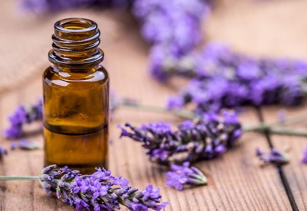 Aromatherapie: de geheimen van lavendelolie