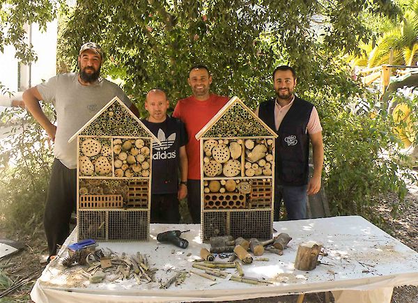 Protecting wild bees and the environment in Spain: an interview with the social project Cal Retor