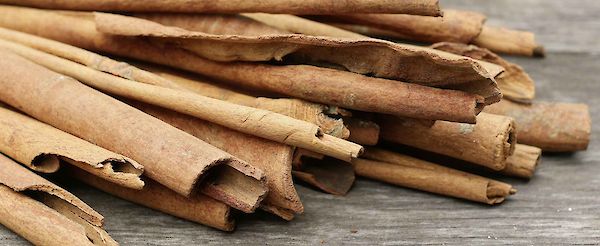 Warmly aromatic – everything you need to know about the tropical spice cinnamon