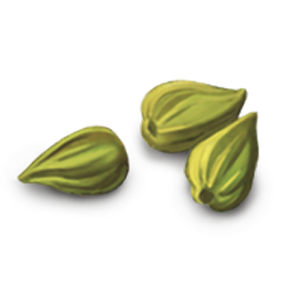 Cardamom