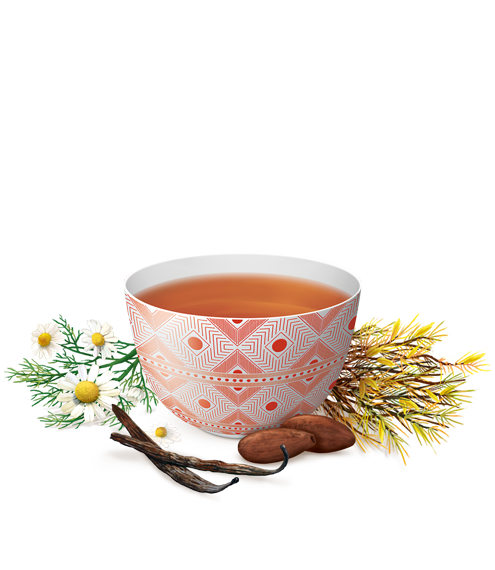 Abend Rooibos Vanille Tee