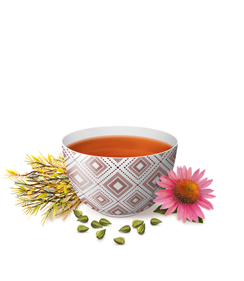 Echinacea Tee
