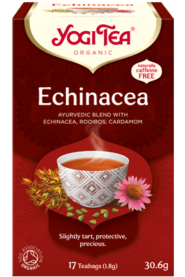 Echinacea