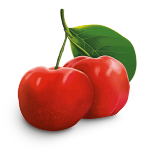 Acerola Kirsche