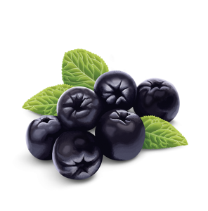 Baies d'aronia