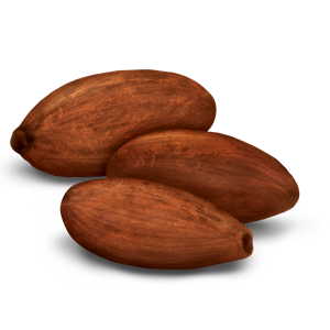 Cocoa shells