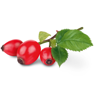 Rose hips