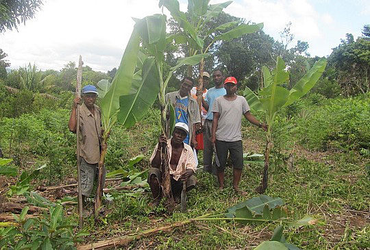 Les forêts comestibles de Madagascar