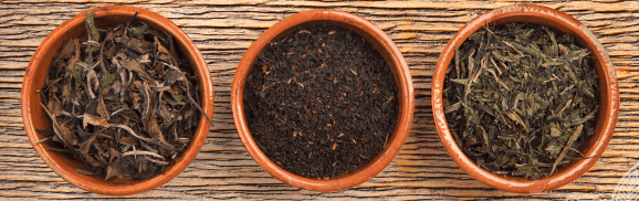 Eine Pflanze, drei Teesorten: Alles über Weiß-, Grün- und Schwarztee