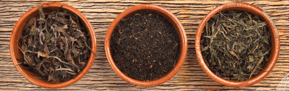 Una planta, tres infusiones: Todo sobre el té blanco, el té verde y el té negro