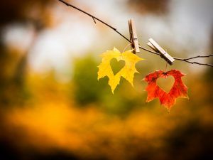 Con ligereza por el otoño – Nuestros consejos para pasar el otoño dorado como un baile.
