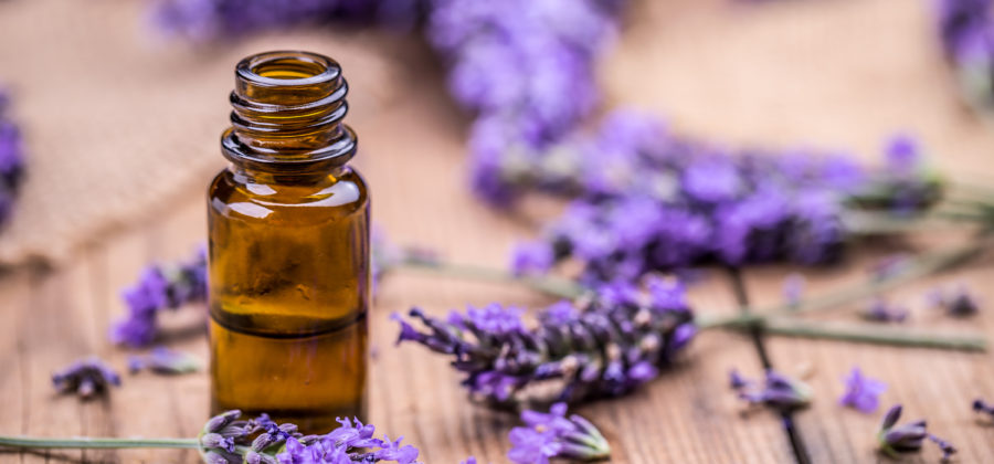 lavender oil yogi tea