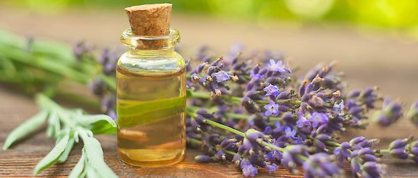 Enchanted by fragrance – the secrets of aromatherapy