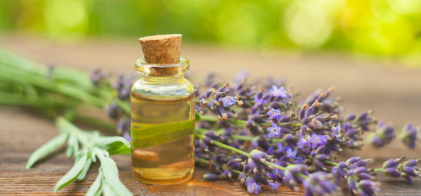 Enchanted by fragrance – the secrets of aromatherapy