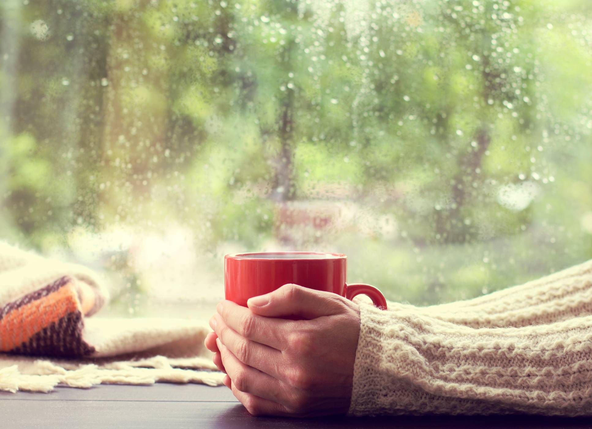 Zwei Hände halten eine Tasse Tee im Herbst