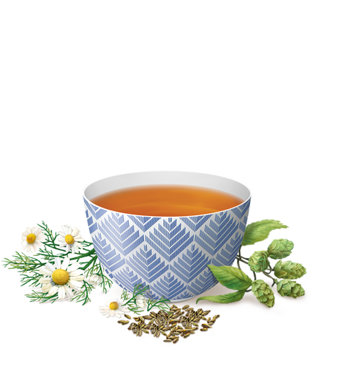 Yogi Tisane Bon Sommeil, paq. de 16 x 32 g 