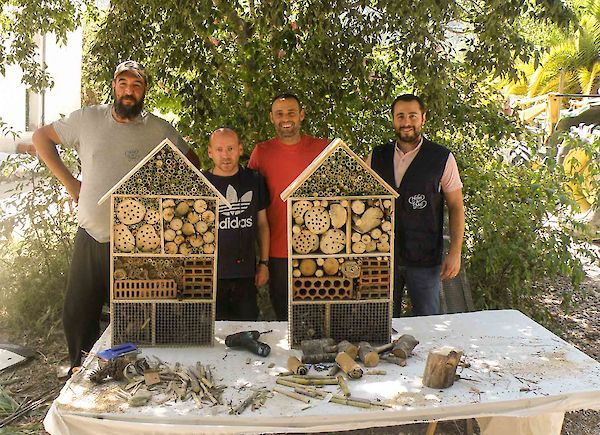 Protección de las abejas silvestres y del medioambiente en España: una entrevista con el coordinador del proyecto Cal Retor