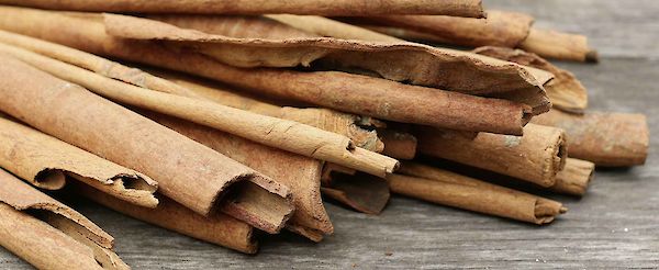 Todo sobre la canela, una especia aromática y cálida