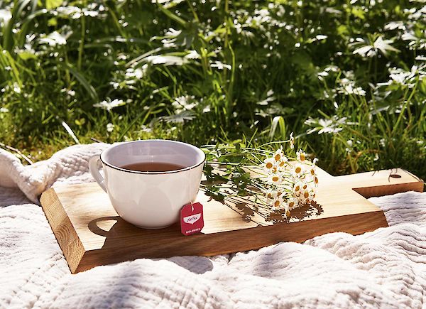 So findest du zurück zur Natur – und zu dir!