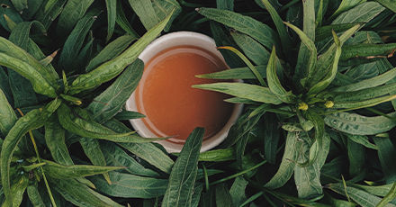 100% Organic Teas