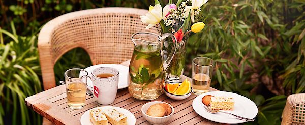 Our YOGI TEA® Iced Tea collection - 5 refreshing recipes!